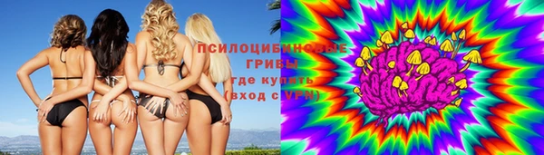 гидра Аркадак